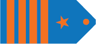 Captain Rank Insignia