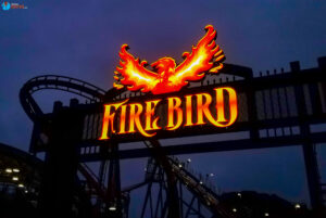 Firebird - Six Flags America