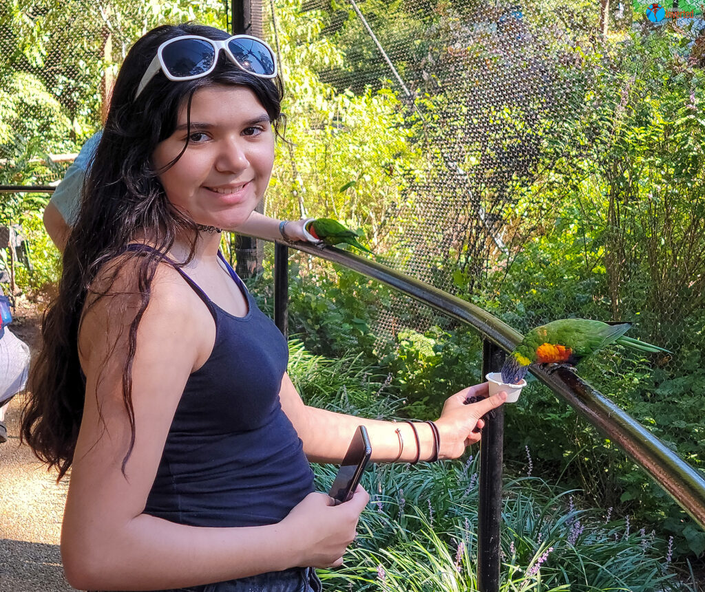 We Were Inverted - Crew