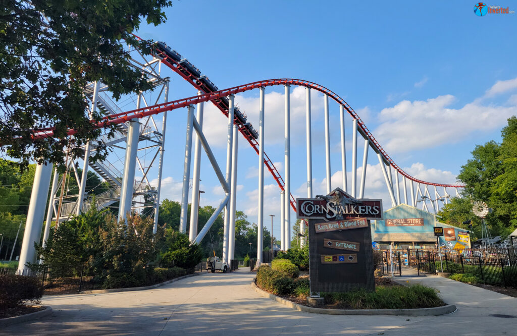 Steel Force - Dorney Park