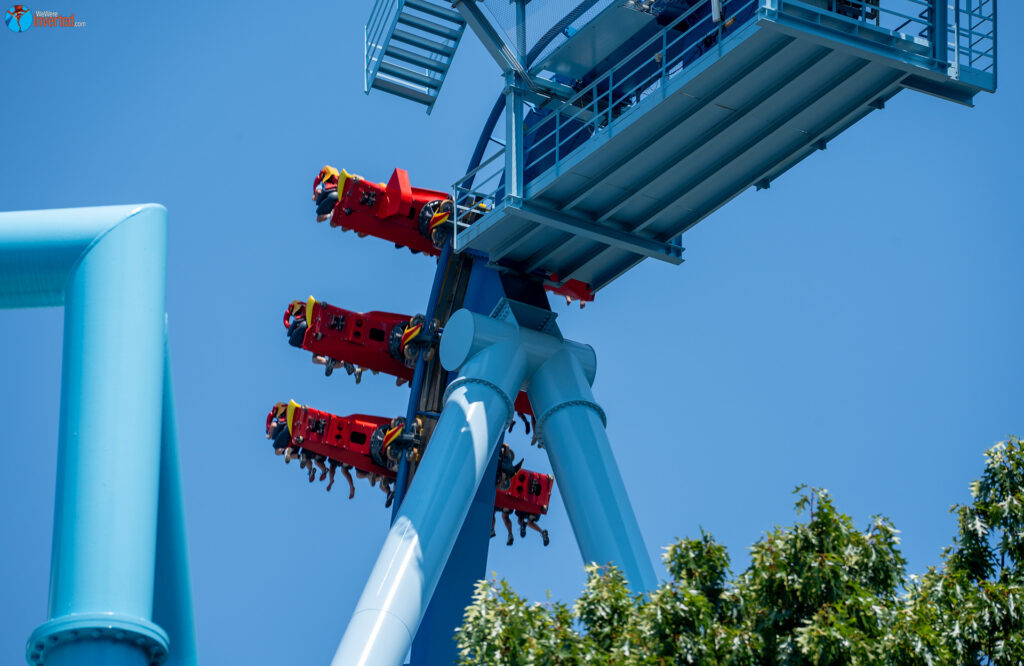 Griffon - Busch Gardens Williamsburg