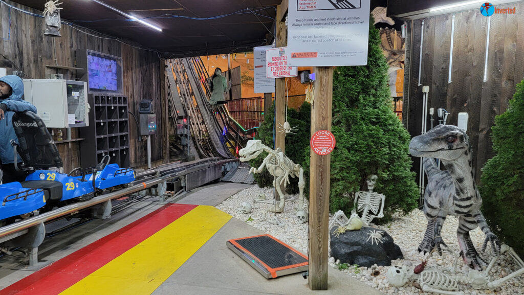 The Goat Coaster - Goats on the Roof