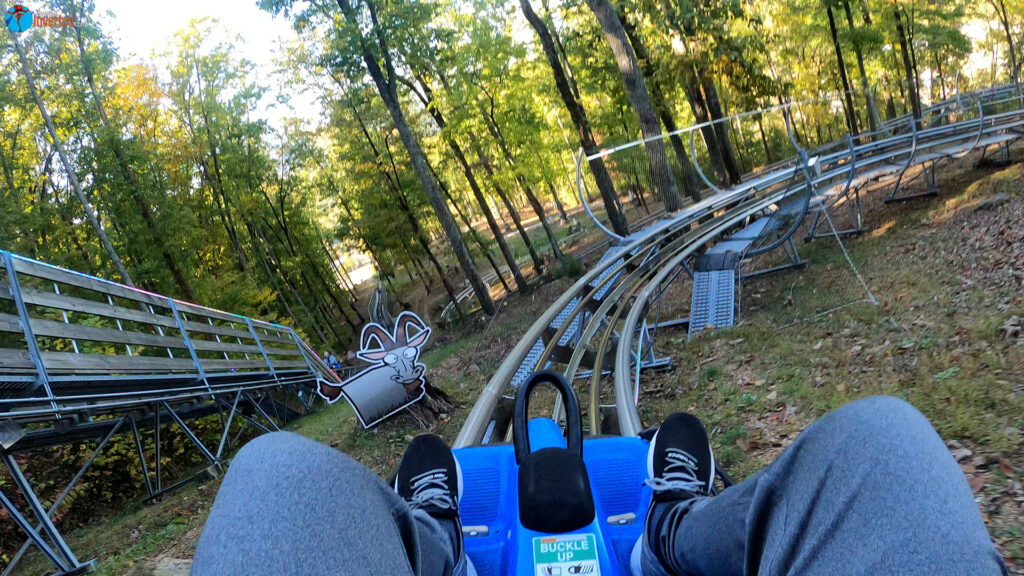 The Goat Coaster - Goats on the Roof