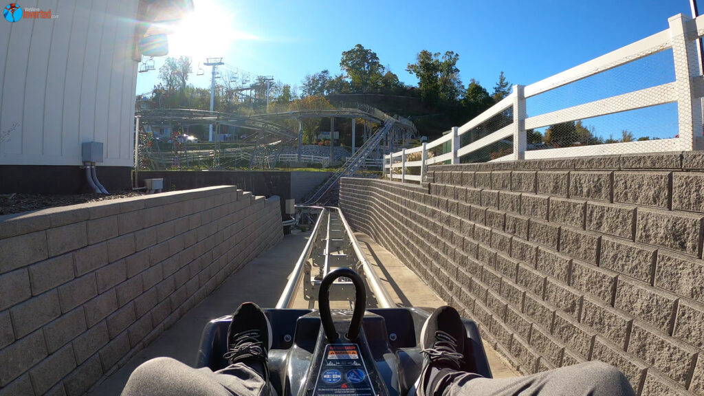 Wild Stallion - SkyLand Ranch