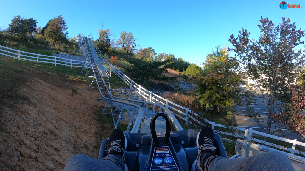 Wild Stallion - SkyLand Ranch