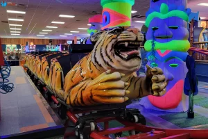 Roller Coaster - Knuckleheads Trampoline Park