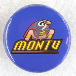 Busch Gardens Tampa - Montu