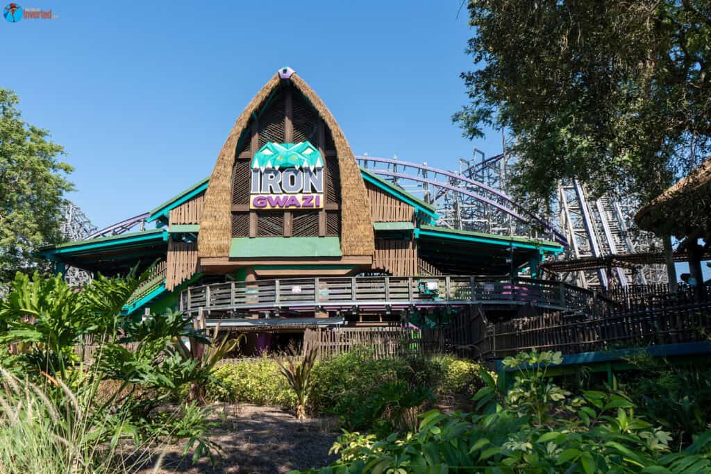 Iron Gwazi - Busch Gardens Tampa