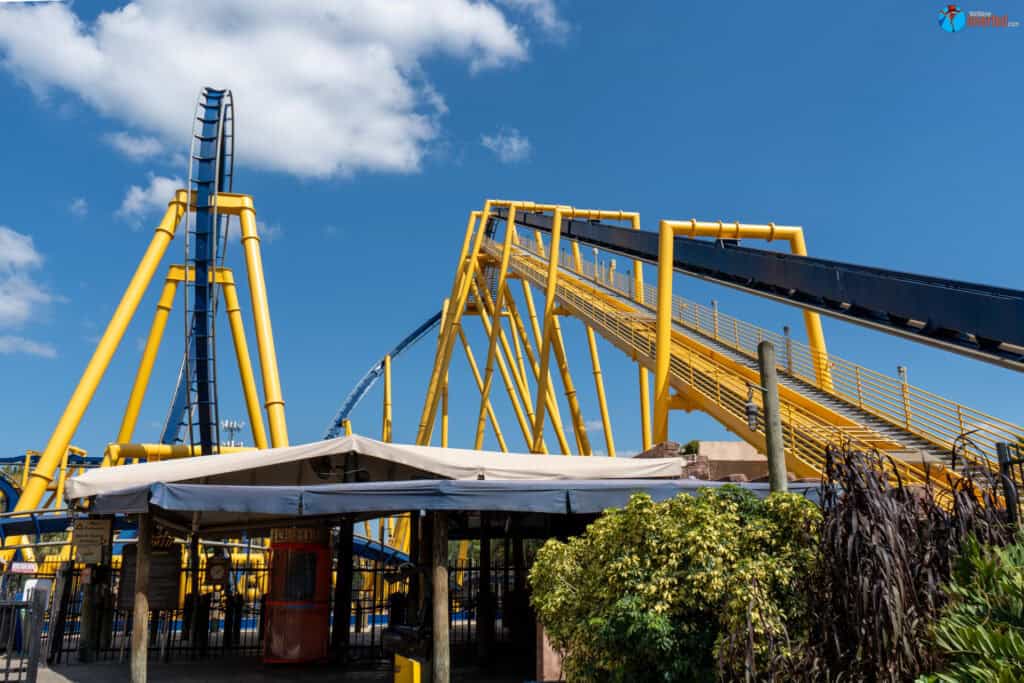 Montu - Busch Gardens Tampa