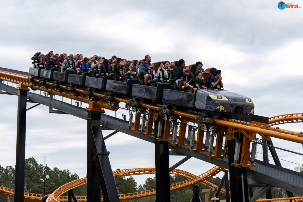 Pantherian - Kings Dominion