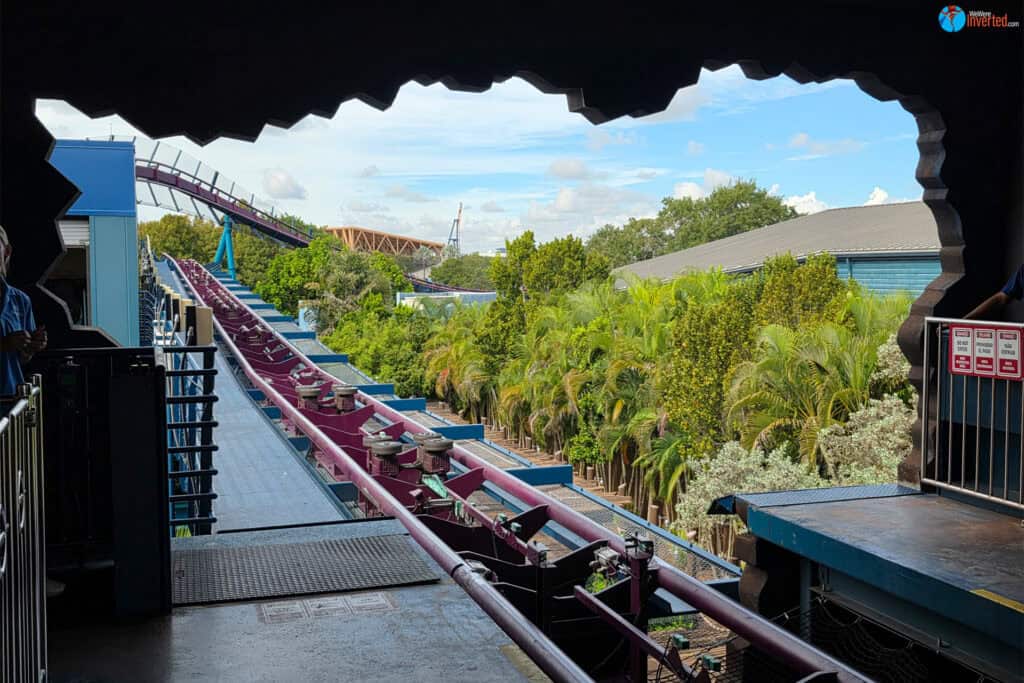 Mako - SeaWorld Orlando