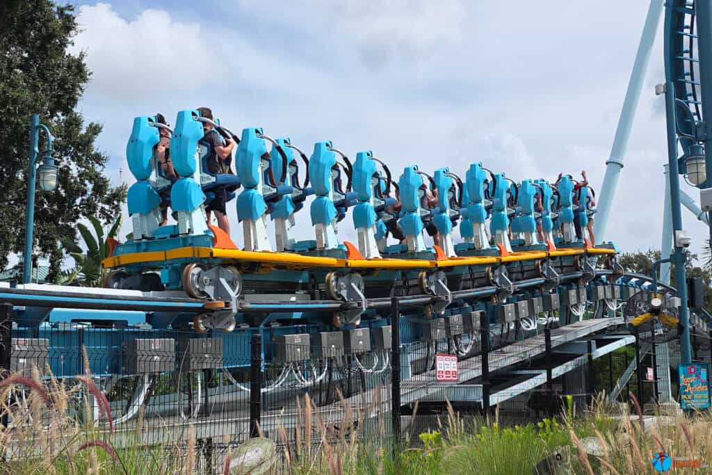 Pipeline: The Surf Coaster - SeaWorld Orlando