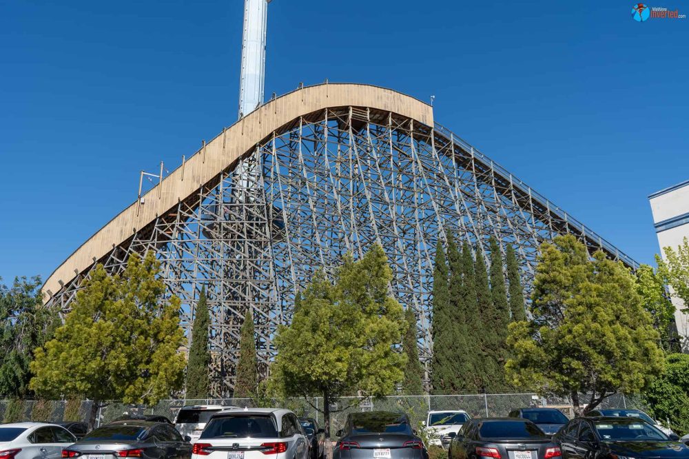 Gold Striker - California's Great America