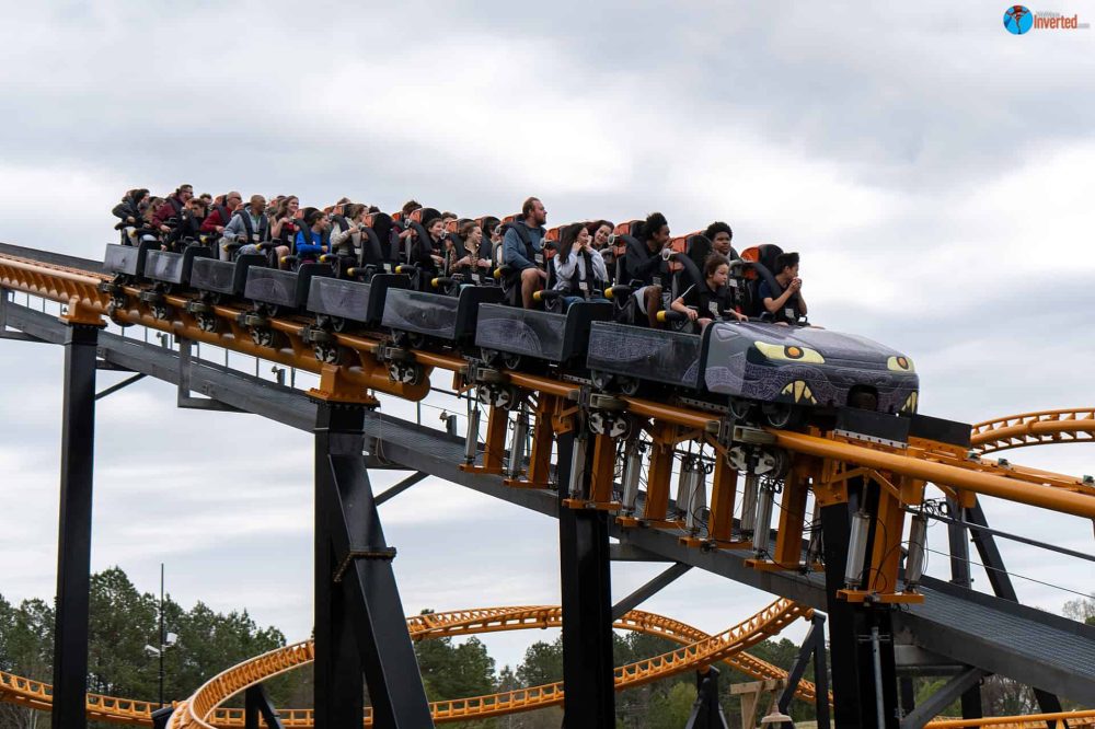 Pantherian - Kings Dominion