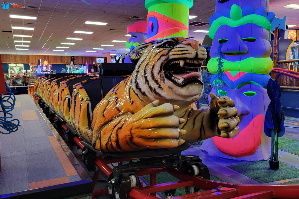 Roller Coaster - Knuckleheads Trampoline Park