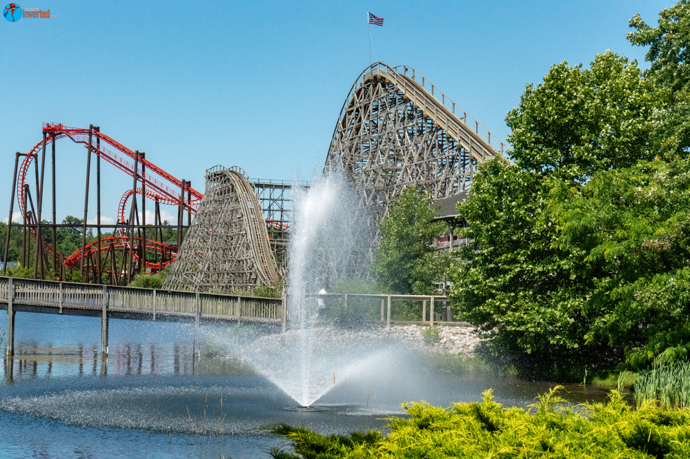 Wolverine Wildcat - Michigan's Adventure