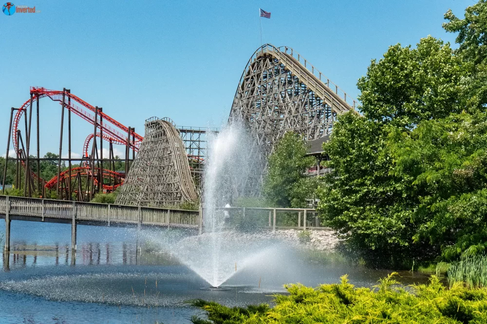 Wolverine Wildcat - Michigan's Adventure