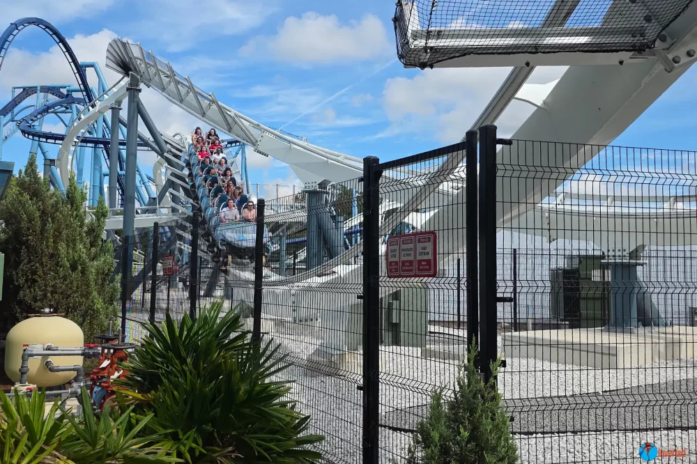 Penguin Trek - SeaWorld Orlando